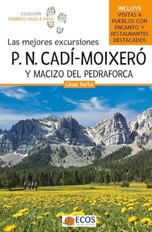 MEJORES EXCURSIONES DEL PARQUE NATURAL CADI-MOIXERÓ Y MACIZO DEL PEDRAFORCA, LAS | 9788419713520 | BARBA, CESAR