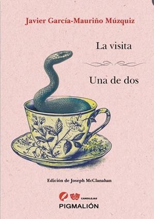 VISITA, LA. UNA DE DOS | 9791387785147 | GARCIA-MAURIÑO MUZQUIZ, JAVIER