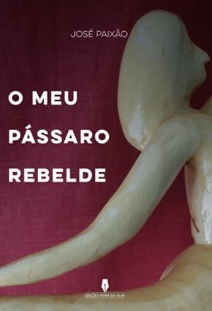 O MEU PÁSSARO REBELDE | 9789897790911 | PAIXAO, JOSÉ