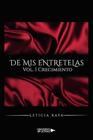 DE MIS ENTRETELAS. VOL. 1 CRECIMIENTO | 9788419137203 | RAYA, LETICIA