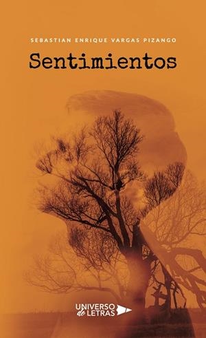SENTIMIENTOS | 9788418570223 | VARGAS PIZANGO, SEBASTIAN ENRIQUE