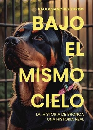 BAJO EL MISMO CIELO | 9797393951750 | SÁNCHEZ ZURDO, PAULA
