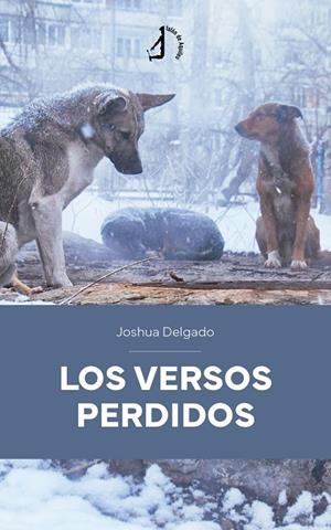 VERSOS PERDIDOS, LOS | 9788410403635 | DELGADO, JOSHUA