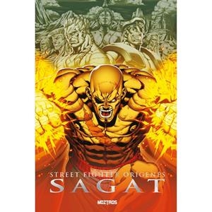 STREET FIGHTER ORIGENES - SAGAT | 9788410463530 | SARRACINI, CHRIS  / NG, JOE