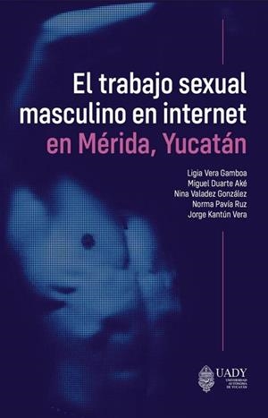 TRABAJO SEXUAL MASCULINO EN INTERNET EN MÉRIDA, EL | 9786078741434 | VERA GAMBOA, LIGIA