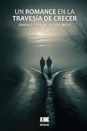 ROMANCE EN LA TRAVESÍA DE CRECER, UN | 9786125142894 | SALCEDO BELLO, GONZALO ESTEBAN