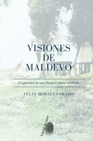 VISIONES DE MALDEVO | 9788409381111 | MORALES PRADO, FÉLIX