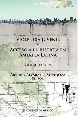 VIOLENCIA JUVENIL Y ACCESO A LA JUSTICIA. : TOMO II. MÉXICO | 9786074626162 | ALVARADO MENDOZA, ARTURO