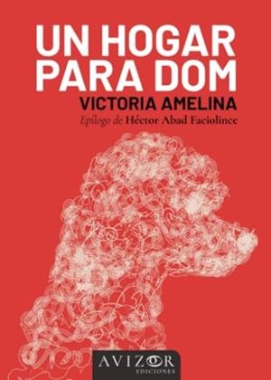 HOGAR PARA DOM, UN | 9788409552993 | AMELINA, VICTORIA