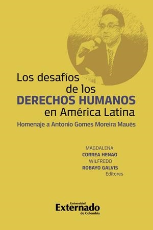 DESAFIOS DE LOS DERECHOS HUMANOS EN AMÉRICA LATINA, LOS | 9789587904901 | CORREA HENAO, MAGDALENA