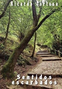 SENTIDOS ESCARBADOS | 9788494229763 | TORTOSA MOLINA, RICARDO