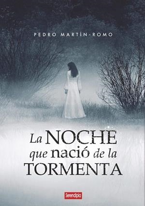 NOCHE QUE NACIÓ DE LA TORMENTA, LA | 9788412582413 | MARTIN ROMO, PEDRO