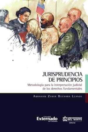 JURISPRUDENCIA DE PRINCIPIOS | 9789587891089 | BECHARA LLANOS, ABRAHAM