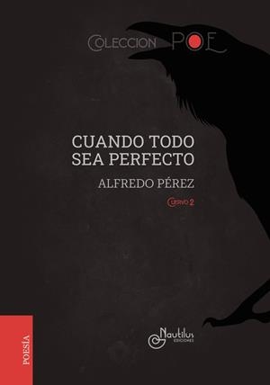 CUANDO TODO SEA PERFECTO | 9788410241657 | PÉREZ, ALFREDO