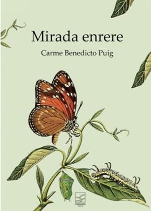 MIRADA ENRERE | 9788412799286 | BENEDICTO, CARME