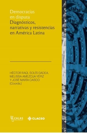 DEMOCRACIAS EN DISPUTA | 9789878138961 | SOLÍS GADEA, HÉCTOR RAÚL