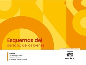 ESQUEMAS DEL DERECHO DE BIENES | 9789587919318 | RINCÓN RÍOS, JARVEY