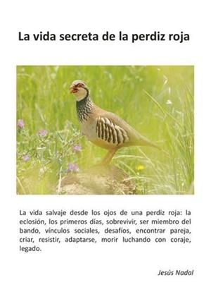 VIDA SECRETA DE LA PERDIZ ROJA, LA | 9788409646517 | NADAL, JESÚS