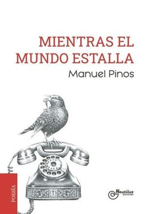 MIENTRAS EL MUNDO ESTALLA | 9788410241374 | PINOS, MANUEL