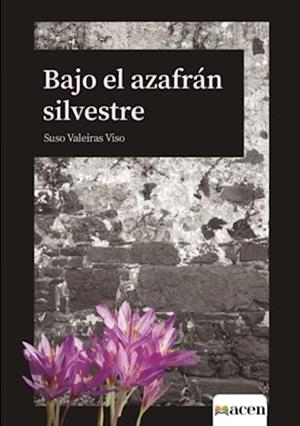 BAJO EL AZAFRÁN SILVESTRE | 9788412685152 | VALEIRAS VISO, SUSO