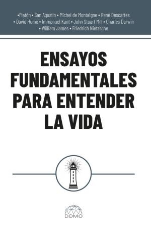 ENSAYOS FUNDAMENTALES PARA ENTENDER LA VIDA | 9786287735880