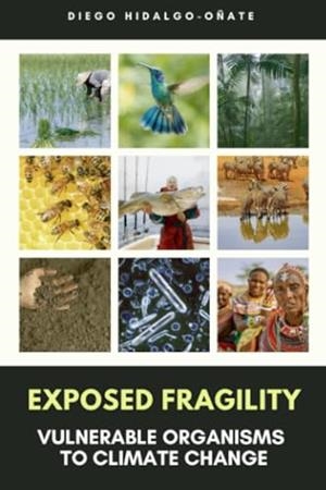 EXPOSED FRAGILITY | 9791222442723 | HIDALGO OÑATE, DIEGO