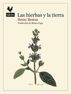 HIERBAS Y LA TIERRA, LAS | 9788419168740 | BESTON, HENRY