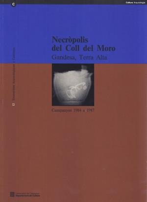 NECRÒPOLI DEL COLL DEL MORO (GANDESA, TERRA ALTA). CAMPANYES DEL 1984 AL 1987 | 9788439327882 | RAFEL I FONTANALS, NÚRIA