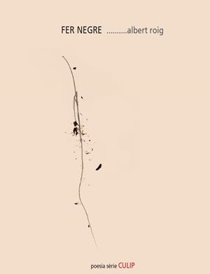 FER NEGRE | 9788481280852 | ROIG, ALBERT