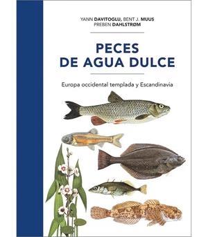 PECES DE AGUA DULCE | 9788428217897 | DAVITOGLU, YANN /  MUUS, BENT J. / DAHLSTRØM, PREBEN