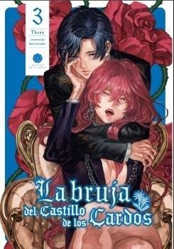 BRUJA DEL CASTILLO DE LOS CARDOS 03, LA | 9788419625137 | TARACHINE, JOHN