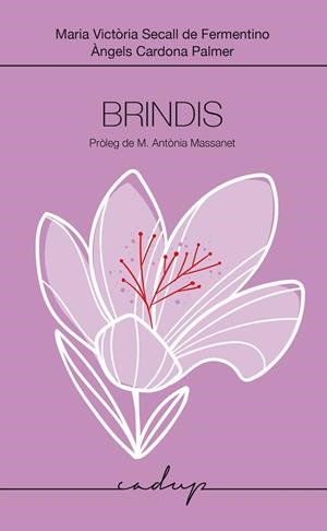 BRINDIS | 9788412991598 | SECALL, Mª VICTÒRIA / CARDONA, ÀNGELS