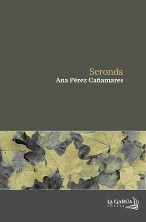 SERONDA | 9791399003451 | PÉREZ CAÑAMARES, ANA