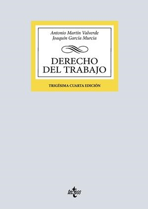 DERECHO DEL TRABAJO | 9788430992607 | GARCÍA MURCIA, JOAQUÍN / MARTÍN VALVERDE, ANTONIO
