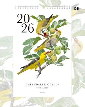 CALENDARI D'OCELLS 2026 | 9788413565255 | LLOBET, TONI