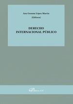 DERECHO INTERNACIONAL PÚBLICO | 9791370064471
