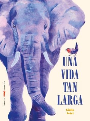 VIDA TAN LARGA, UNA | 9791399040180 | VETRI, GIULIA