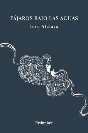 PAJAROS BAJO LAS AGUAS | 9788412786507 | ATALAYA, IOSU