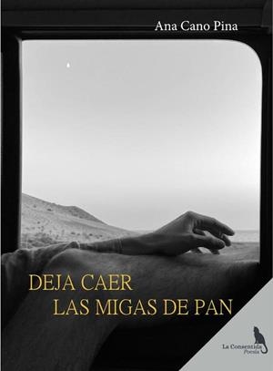 DEJA CAER LAS MIGAS DE PAN | 9788410212374 | CANO PINA, ANA