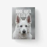 DONDE HABITA LA LEALTAD | 9788410075313 | RAMOS TORRES, MARCO ANTONIO