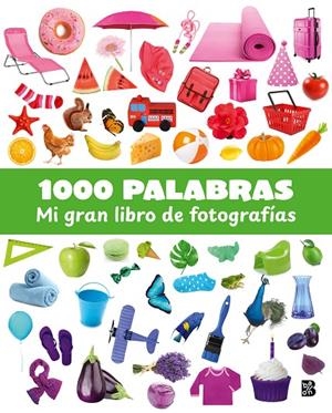 1000 PALABRAS MI GRAN LIBRO DE FOTOGRAFIA | 9789403242927 | BALLON