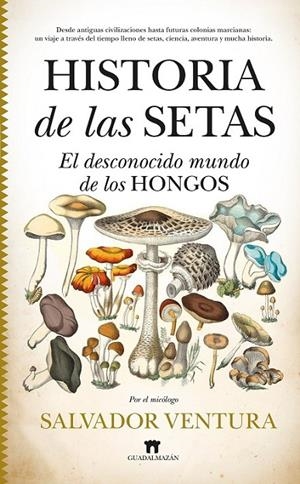 HISTORIA DE LAS SETAS | 9788419414281 | VENTURA, SALVADOR