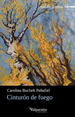 CINTURÓN DE FUEGO | 9791387538590 | BUCHELI, CAROLINA