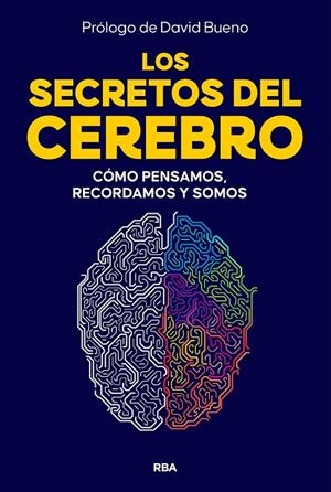 SECRETOS DEL CEREBRO, LOS | 9788410981249 | BUENO, DAVID