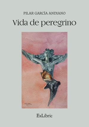 VIDA DE PEREGRINO | 9791387707965 | GARCIA ANDIANO, PILAR