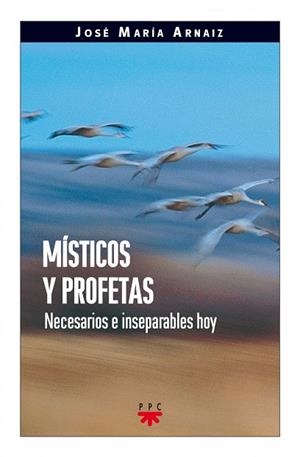 MÍSTICOS Y PROFETAS | 9788428818926 | ARNÁIZ TUBILLEJA, JOSÉ MARÍA