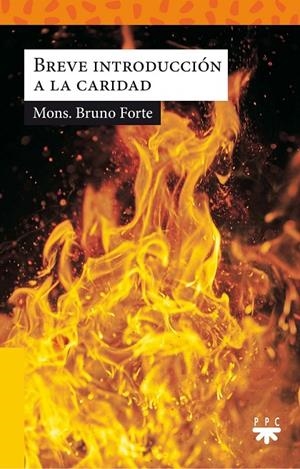 BREVE INTRODUCCIÓN A LA CLARIDAD | 9788428832359 | FORTE, BRUNO