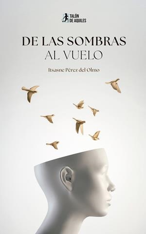 DE LAS SOMBRAS AL VUELO | 9791387861810 | PEREZ DEL OLMO, ITSASNE