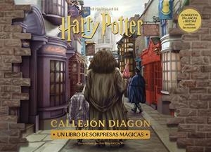 HARRY POTTER : DIAGON ALLEY | 9788448045135 | AA. VV.
