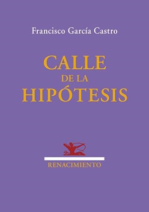 CALLE DE LA HIPÓTESIS | 9791387939281 | GARCIA CASTRO, FRANCISCO